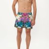 Accessories Camilla Eboutique (Us) | Camilla Eboutique (Us) Elastic Waist Boardshort Exotica Erotica Gift Ideas